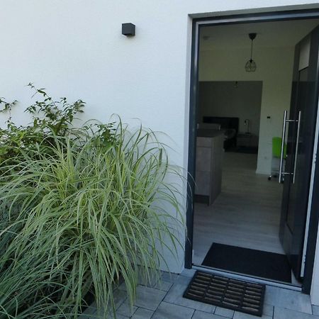 Forststrasse Apartment Stockstadt am Main Exteriér fotografie