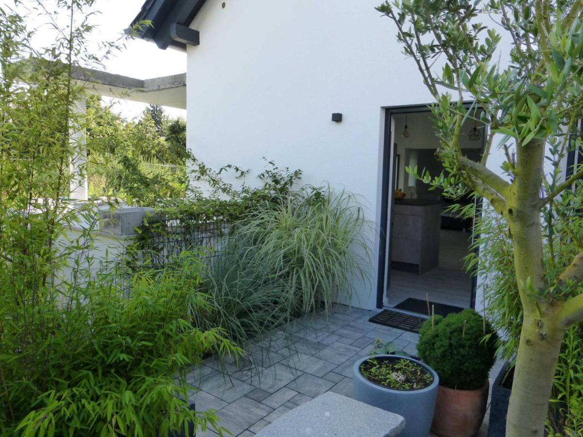 Forststrasse Apartment Stockstadt am Main Exteriér fotografie
